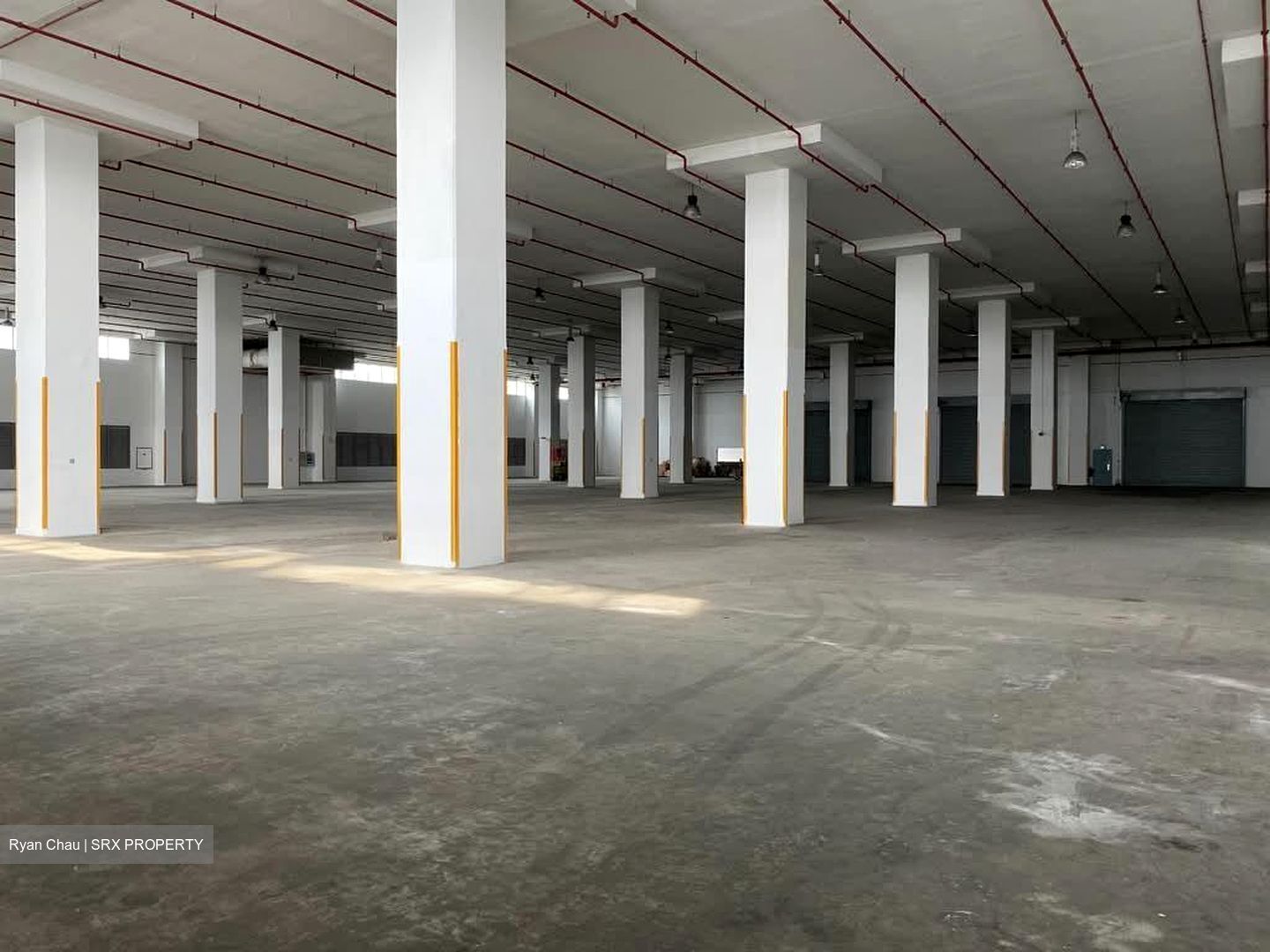 Expo Drive (D16), Warehouse #568721161
